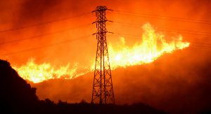 Heatwaves, Forest Fires Depleted Vital Carbon Sink – NS