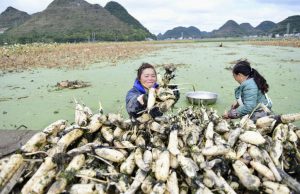 Guizhou Bank goes green, adopts the Equator Principles