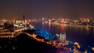 Hubei FTZ handed development boost