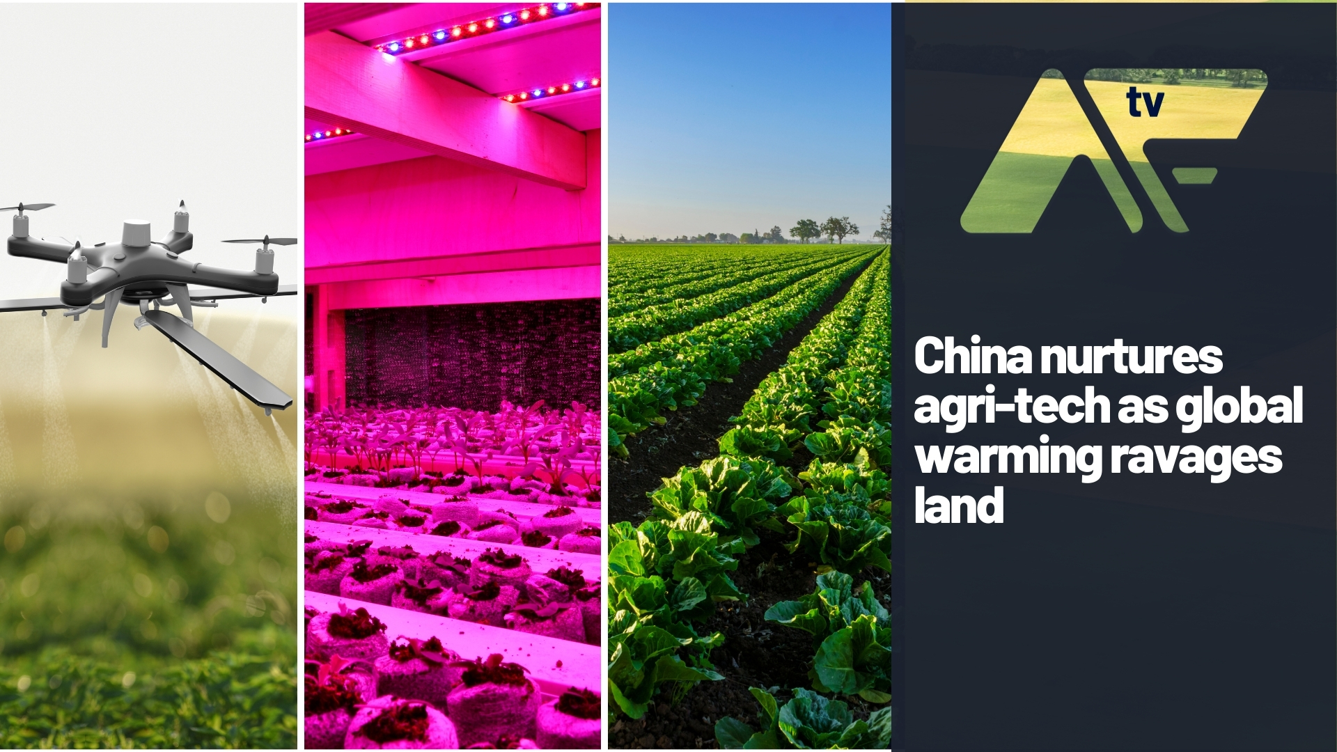 China nurtures agri-tech as global warming ravages land