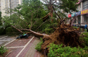 Typhoons, Floods, Heatwaves Cost China Economy $5.7bn in July