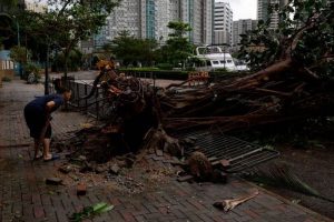 Big Clean-up in Hong Kong, Macau, Other Areas After Typhoon Saola