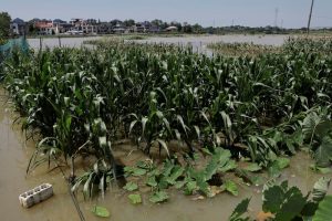 China Central Bank Vows $14bn to Rebuild Flooded Farm Areas