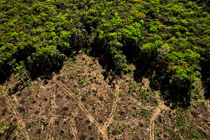 An aerial view shows a deforested plot of the Amazon rainforest in Manaus.