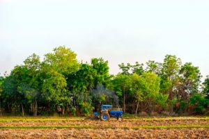 In a First, Top Bank Hands Out Loan For Carbon Removal Credits