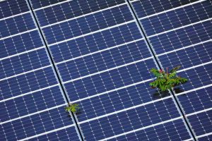 Booming Solar Puts 2030 Renewable Energy Goals ‘Within Reach’