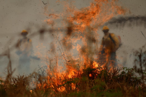 Fossil Fuels Set to Drive Global Emissions to a Record, Yet Again