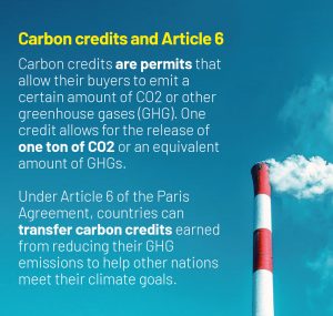 What are carbon credits and what is Article 6 of the Paris Agreement