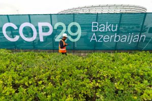 COP29 Takes a Step Towards UN-Backed Global Carbon Market